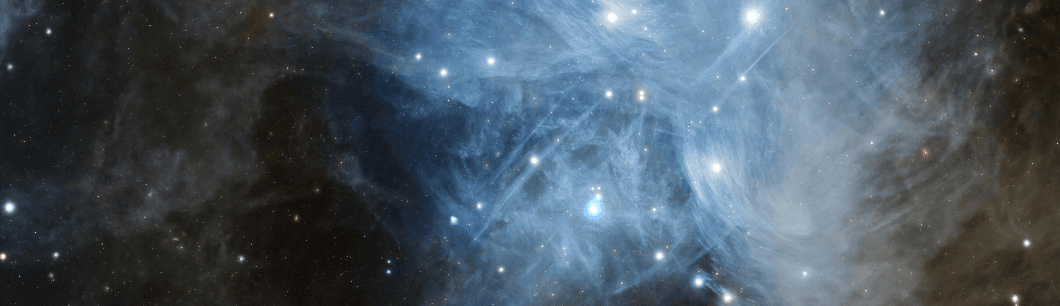 Rumble Fish Awarded a Grant by Stellar Community Fund to Build Soroban-First Block Explorer image