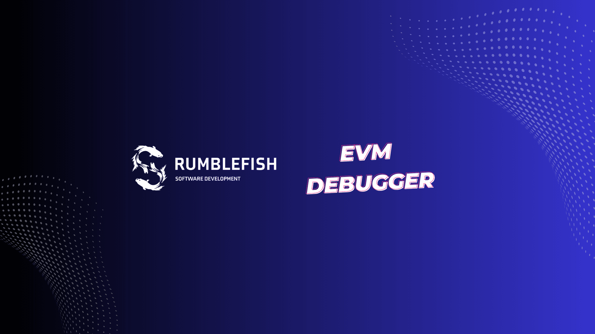 Rumble Fish presents EVM Debugger - the ultimate tool for Defi developers
